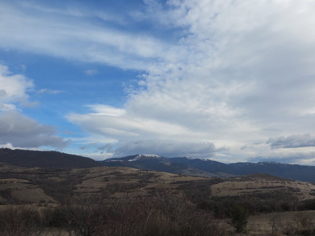 photo.jpg