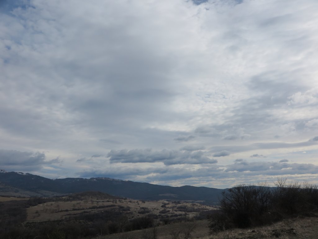 photo2.jpg