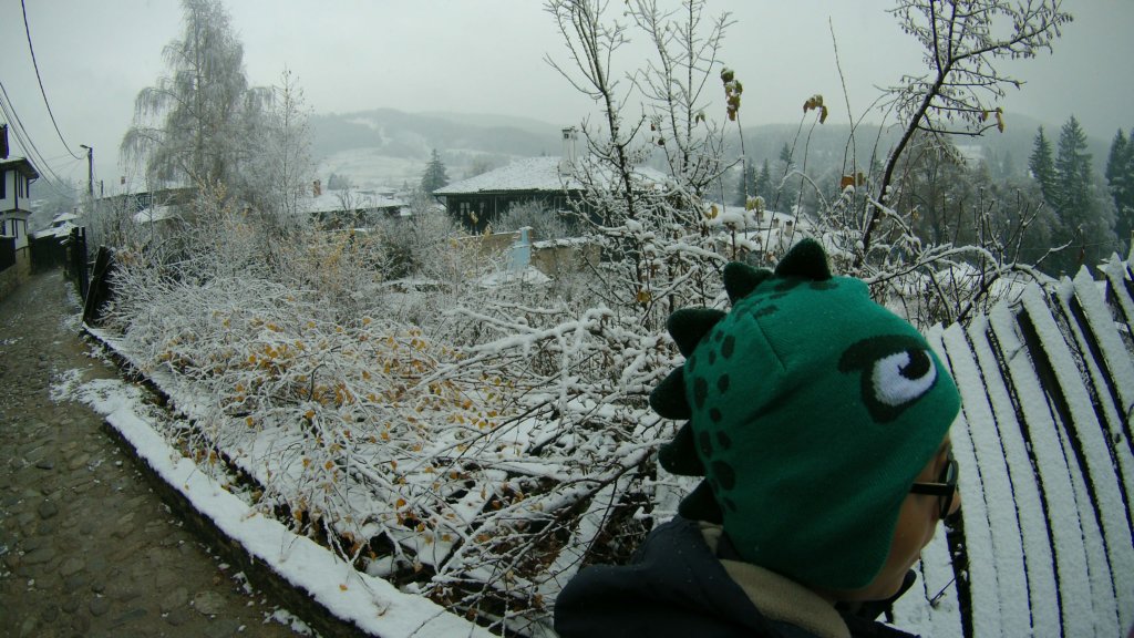 photo30.jpg