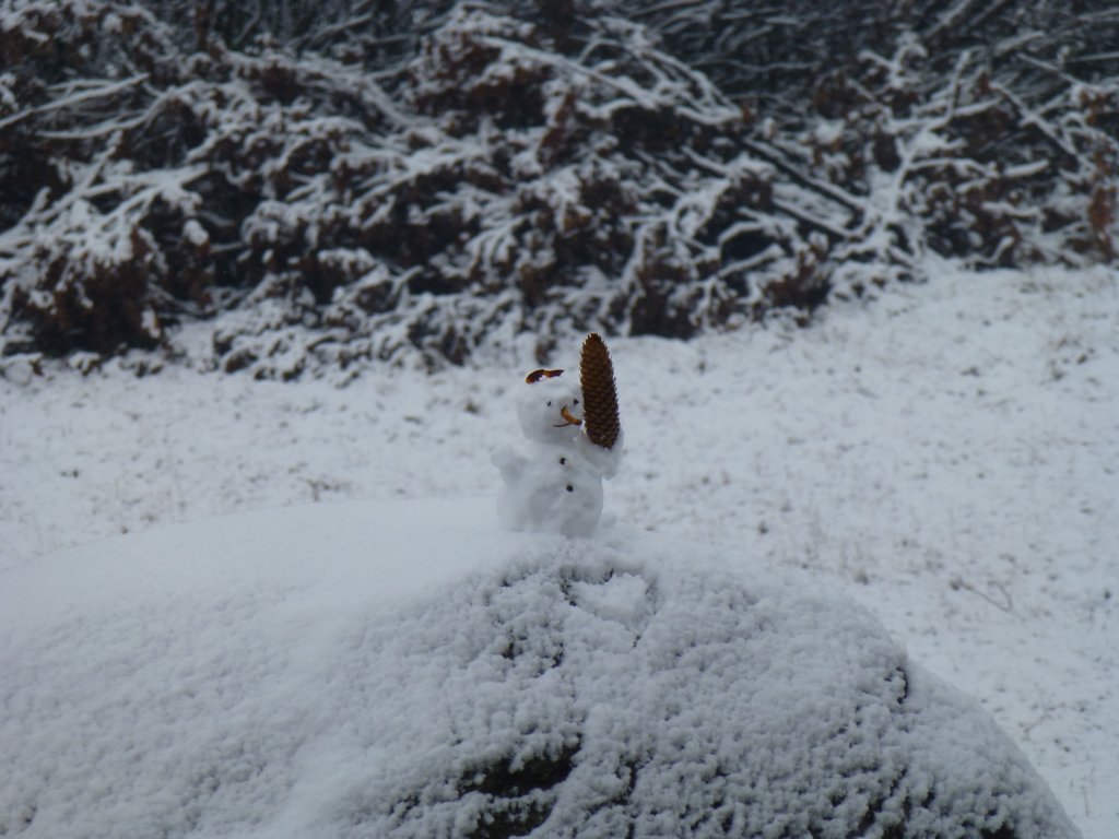 photo67.jpg