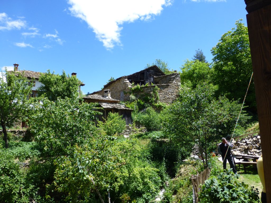 photo13.jpg