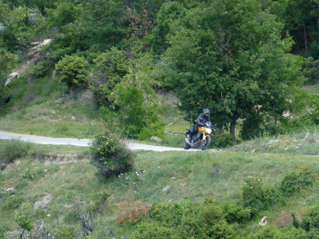 photo34.jpg