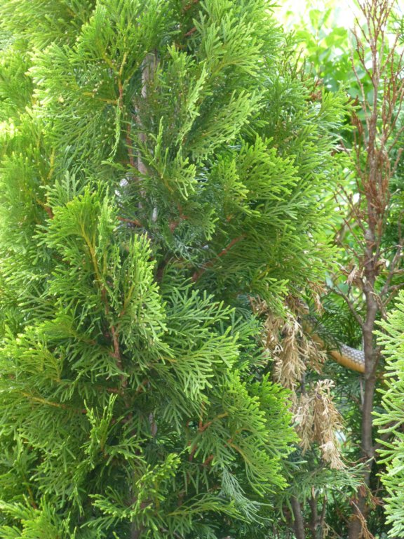 photo49.jpg