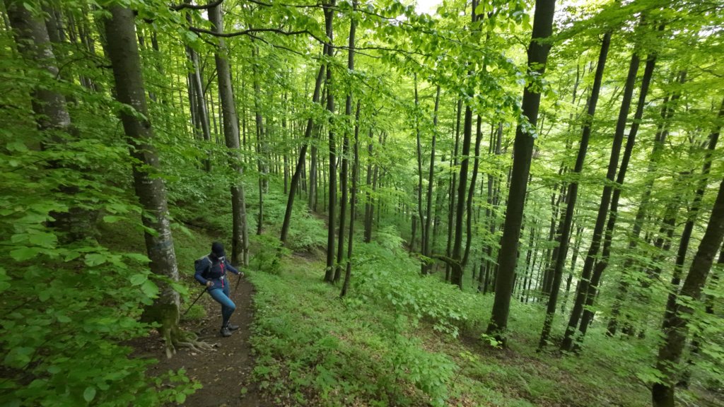 photo3.jpg