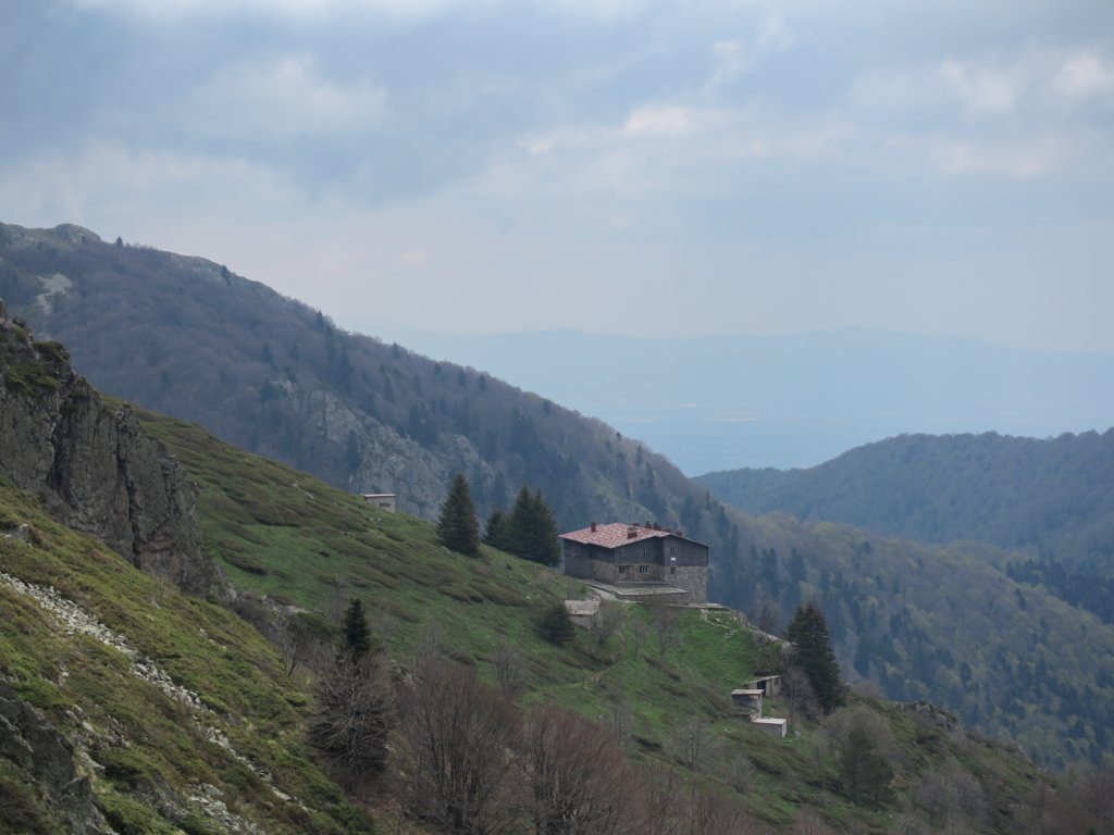 photo37.jpg