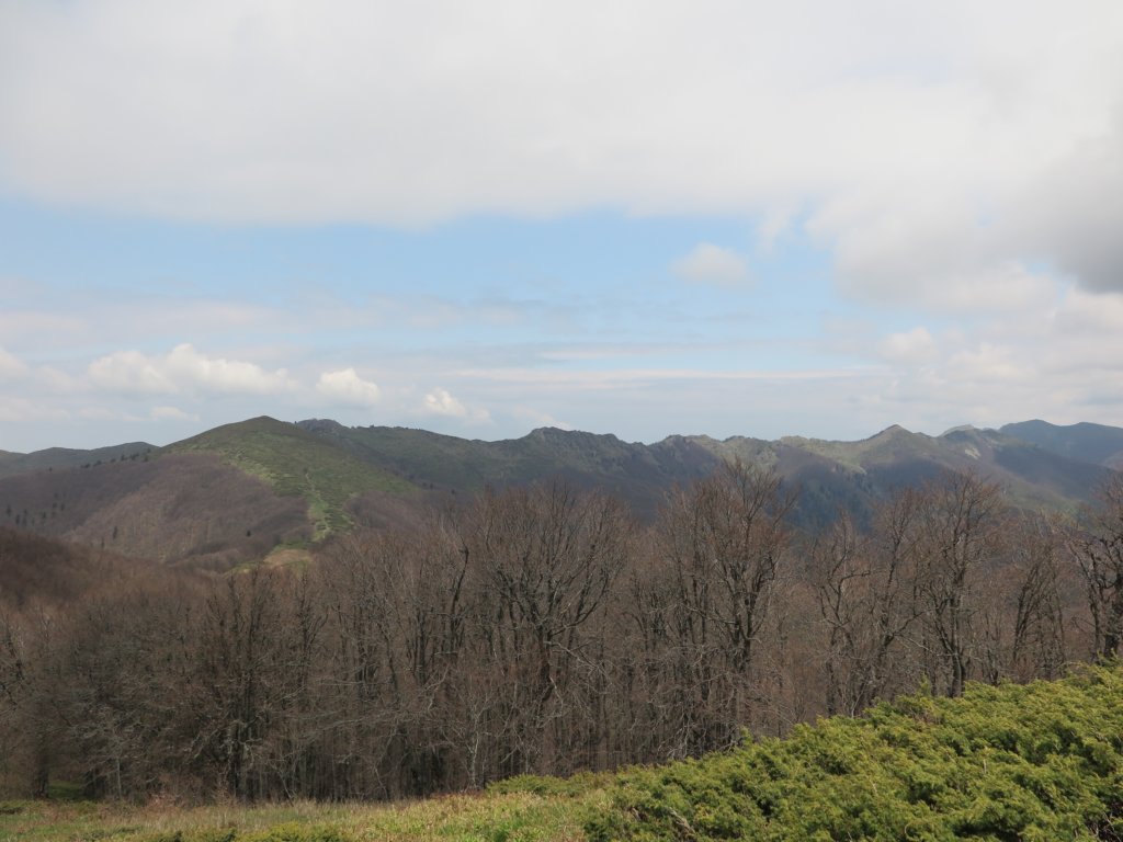 photo45.jpg