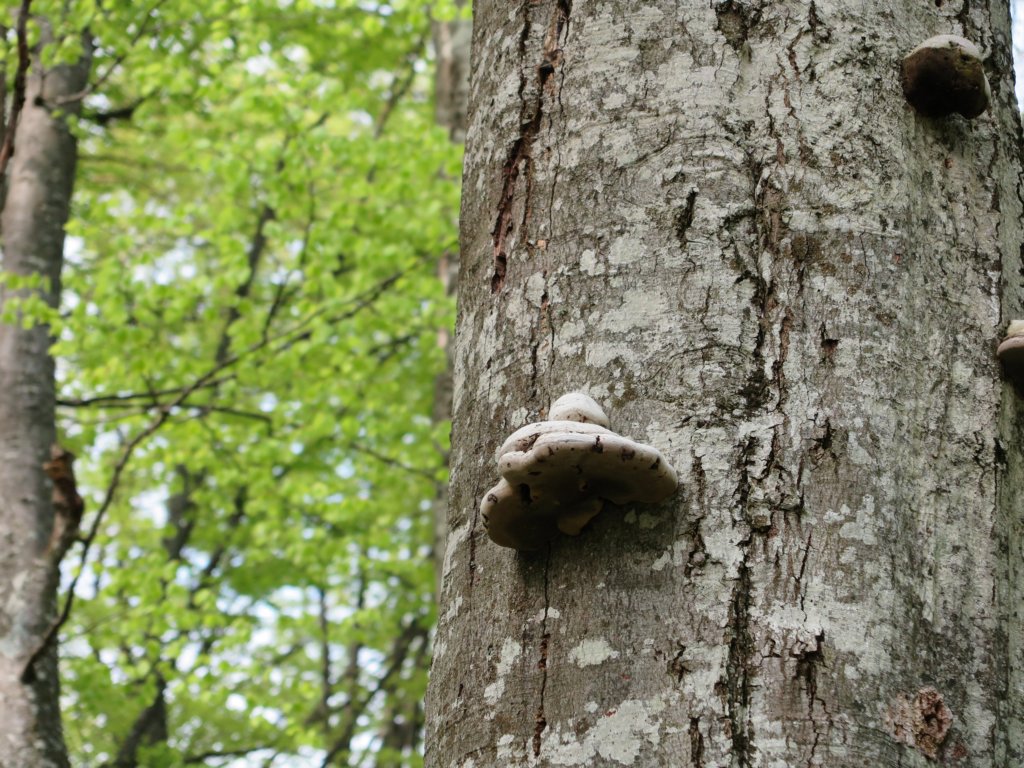 photo7.jpg