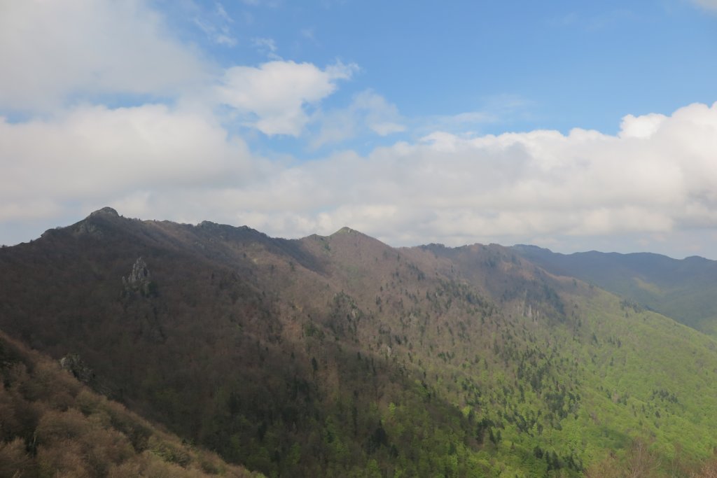 photo9.jpg