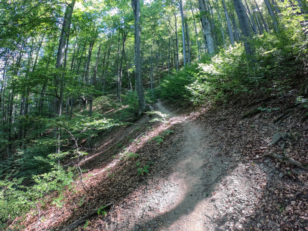 photo6.jpg