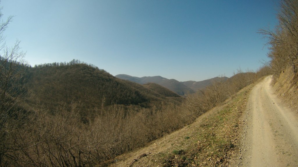photo17.jpg