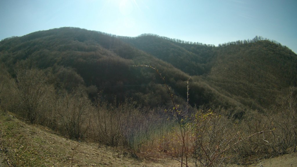 photo18.jpg