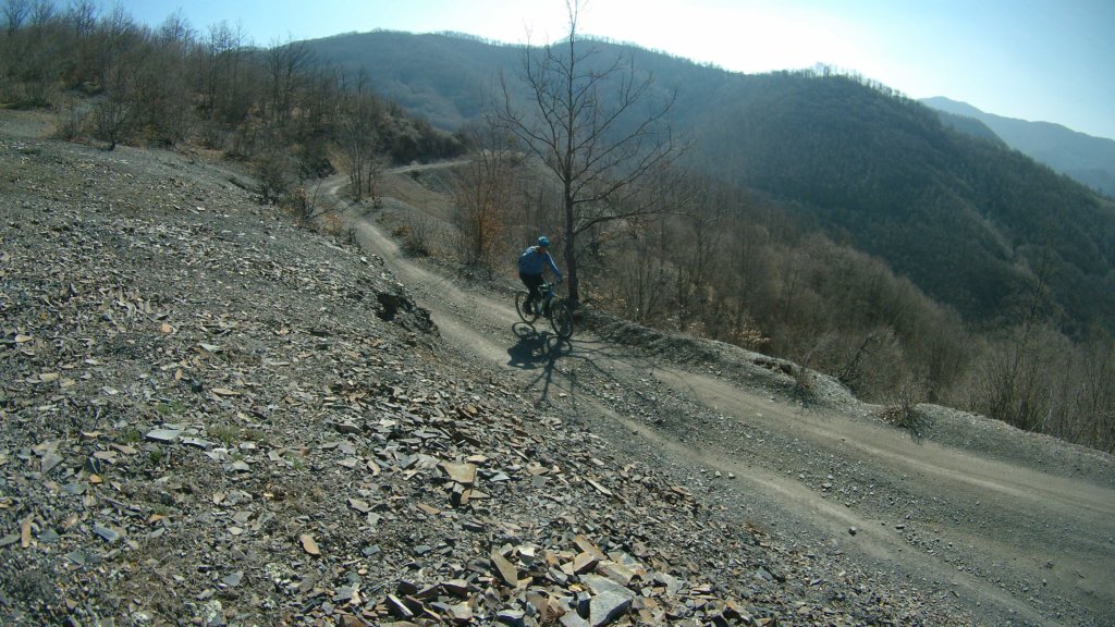 photo35.jpg