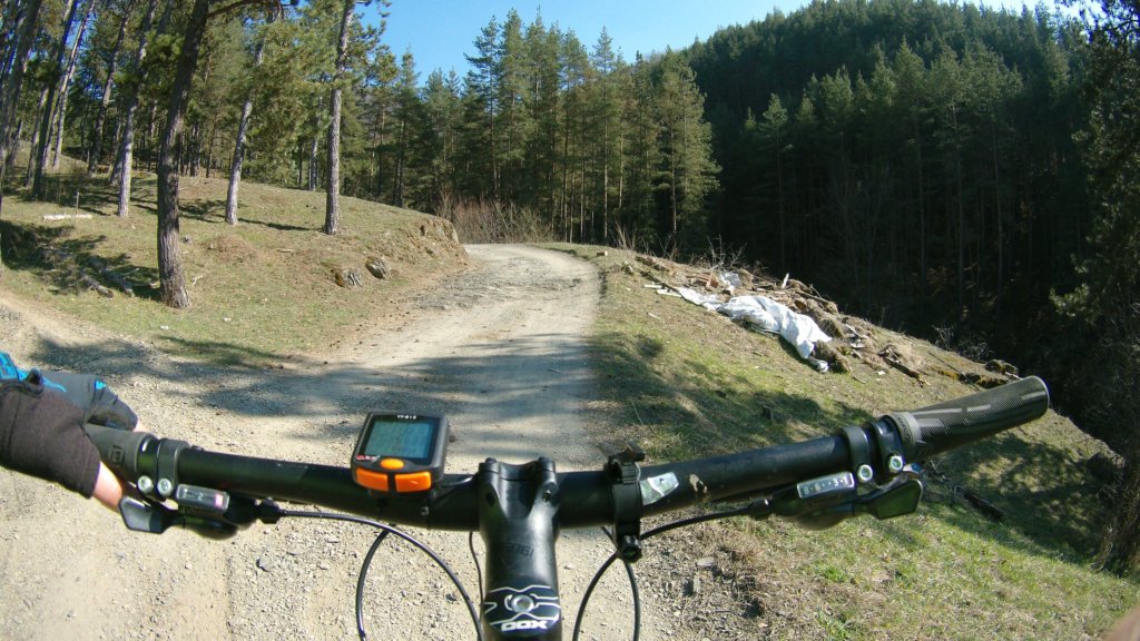 photo87.jpg