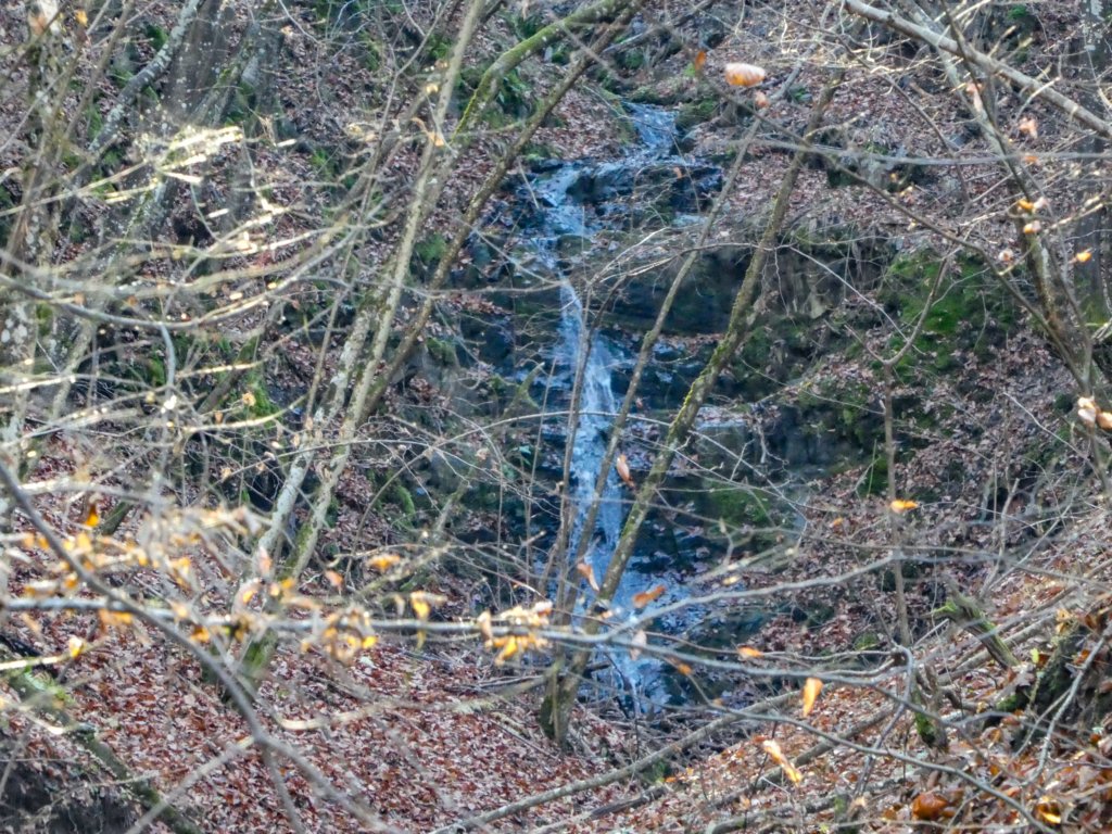 photo31.jpg