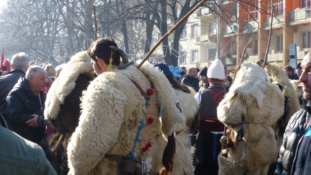 photo4.jpg
