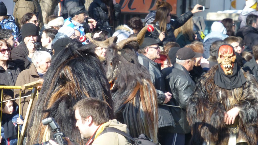photo44.jpg