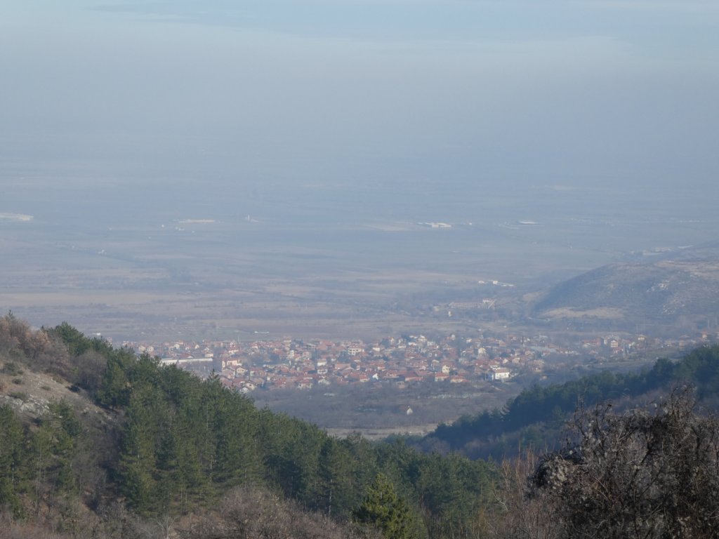 photo22.jpg