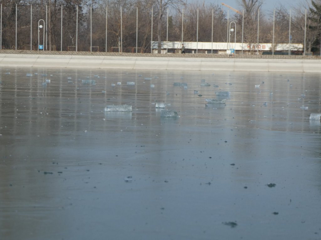 photo5.jpg