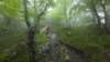photo12_small.jpg