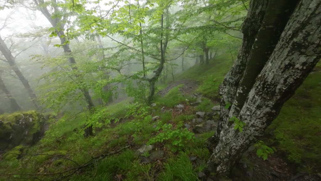 photo13.jpg