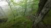 photo13_small.jpg