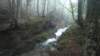 photo15_small.jpg