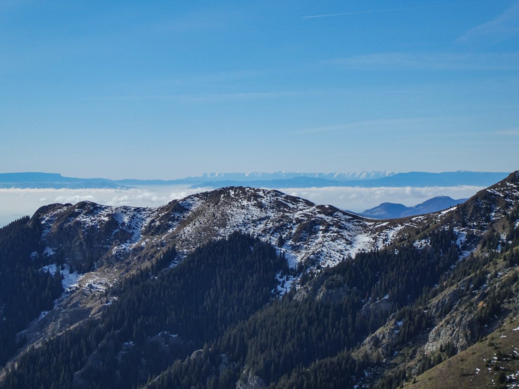 photo33.jpg
