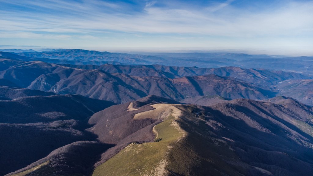photo63.jpg