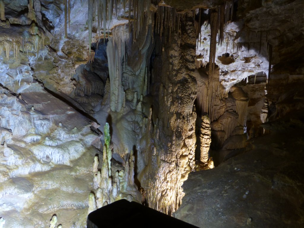 photo11.jpg