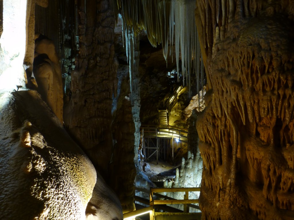 photo4.jpg