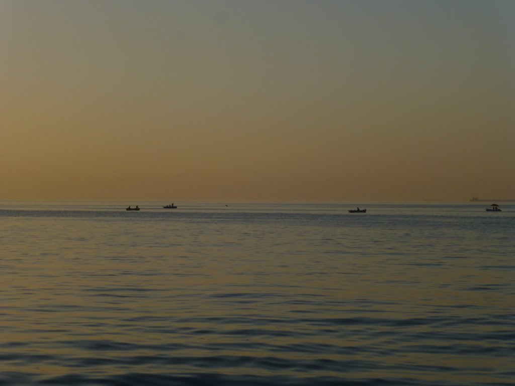 photo21.jpg