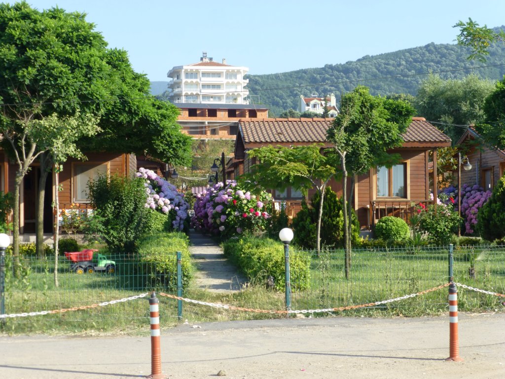 photo5.jpg