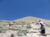 mountnemrut6_small.jpg