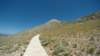 mountnemrut72_small.jpg