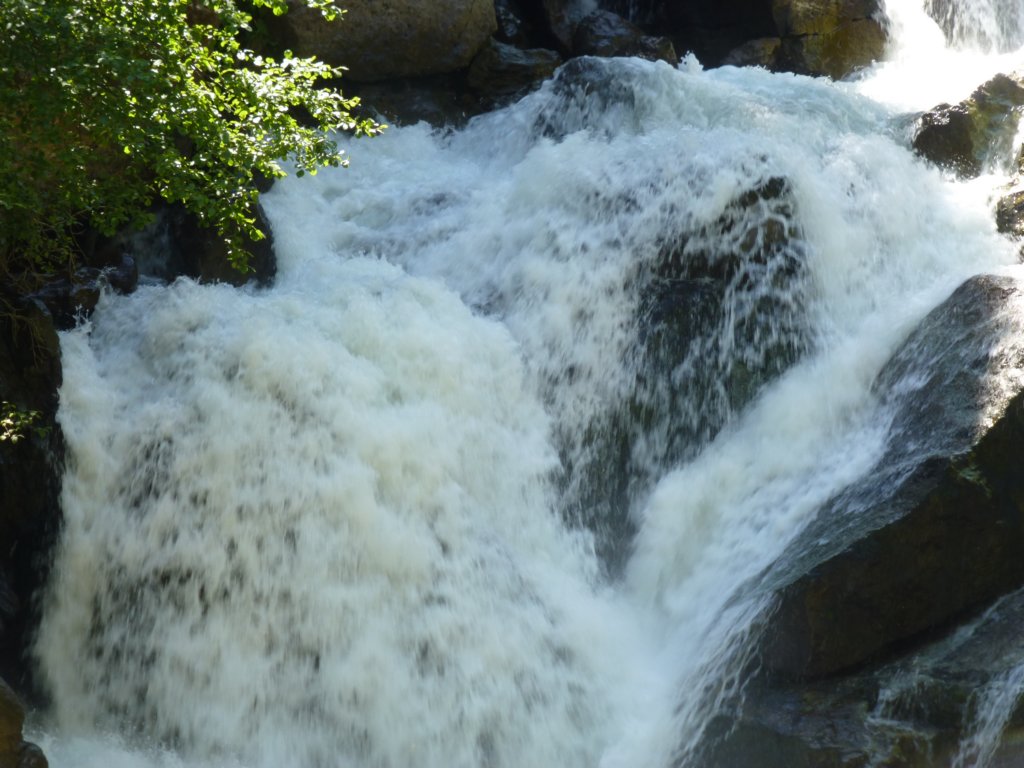 photo56.jpg