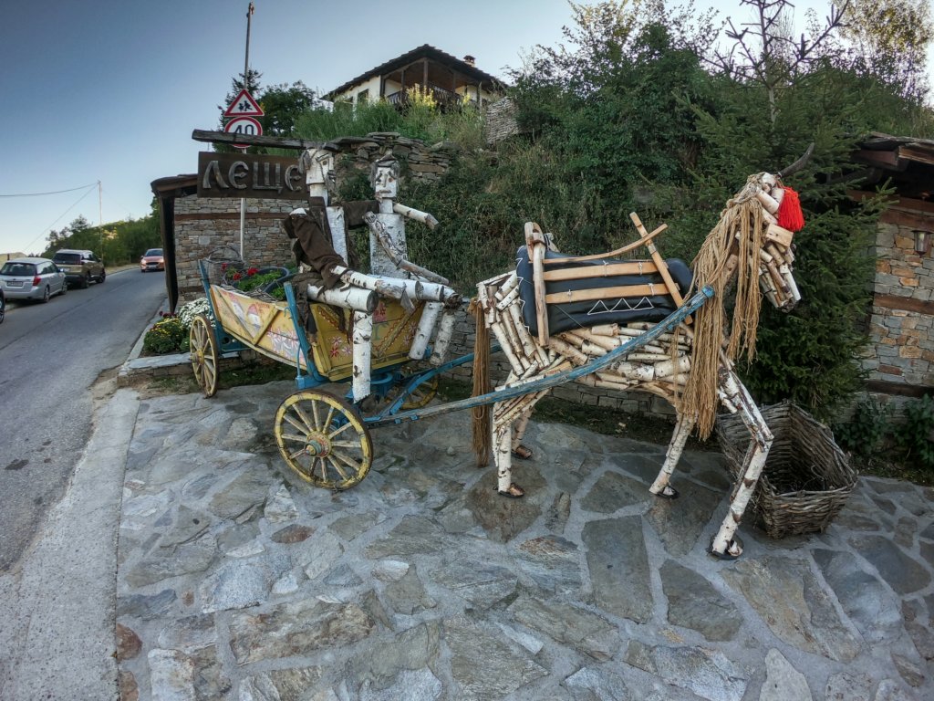photo17.jpg