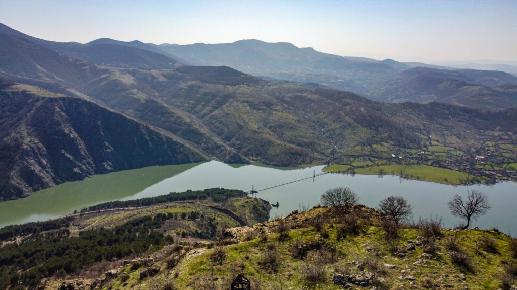 photo11.jpg