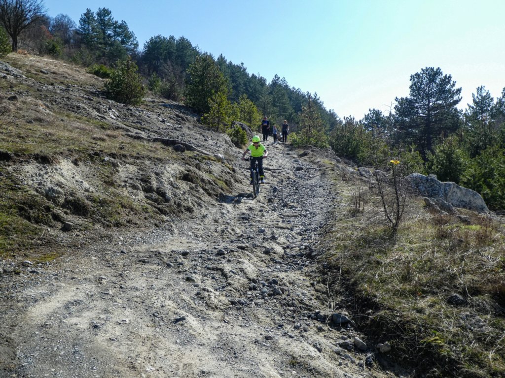 photo26.jpg