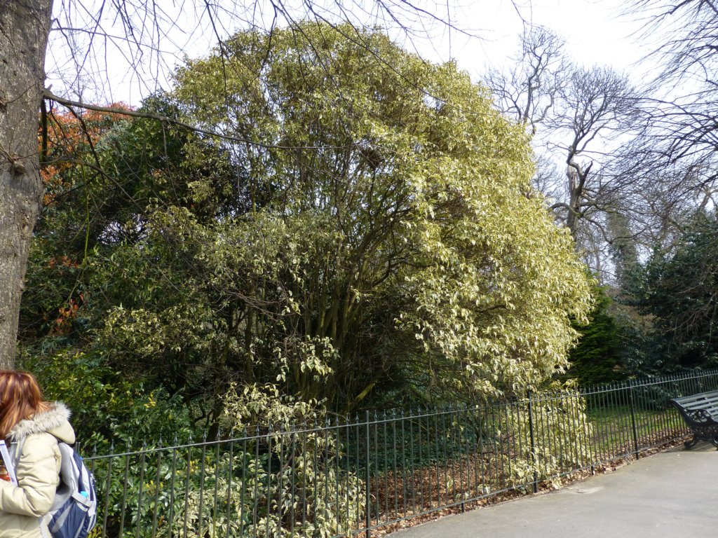 photo8.jpg