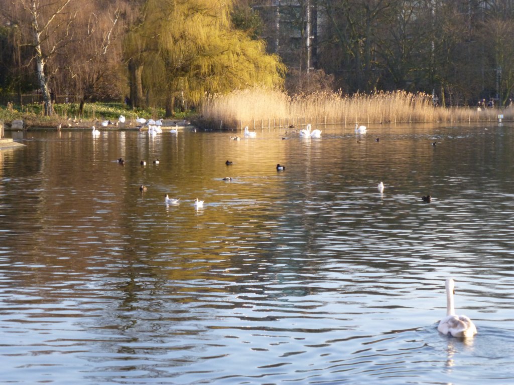 hydepark7.jpg