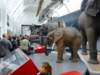 naturalhistorymuseum13_small.jpg