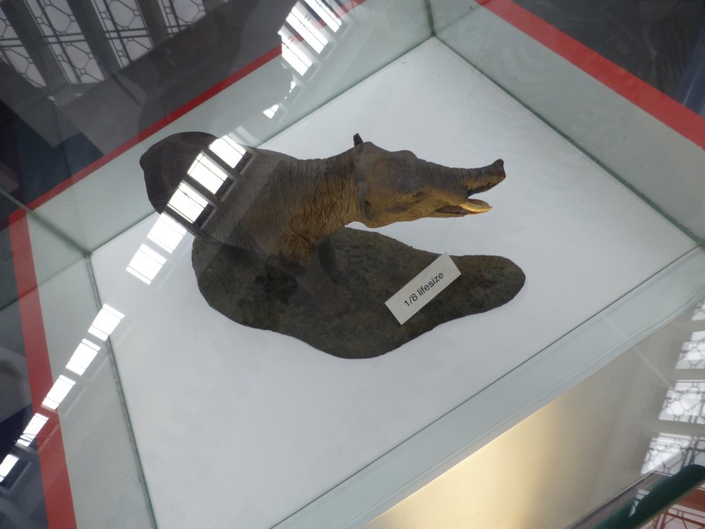 naturalhistorymuseum15.jpg