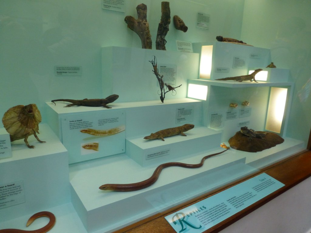 naturalhistorymuseum20.jpg
