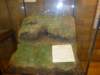 naturalhistorymuseum22_small.jpg
