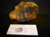 naturalhistorymuseum27_small.jpg