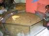 naturalhistorymuseum28_small.jpg