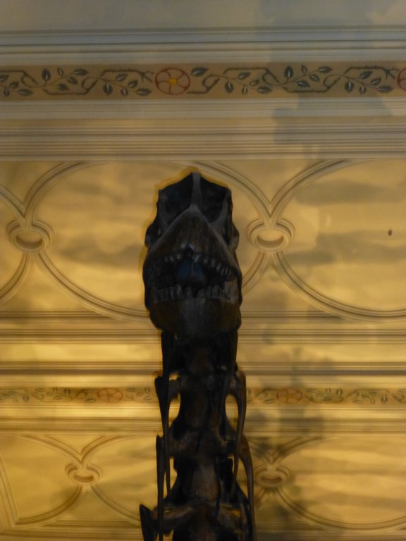 naturalhistorymuseum4.jpg