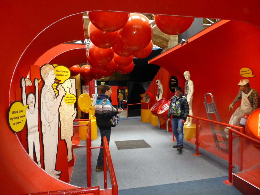 naturalhistorymuseum6.jpg