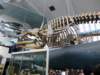 naturalhistorymuseum8_small.jpg