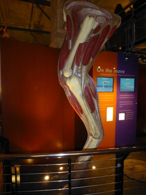 photo27.jpg